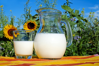 Cows Milk Allergy