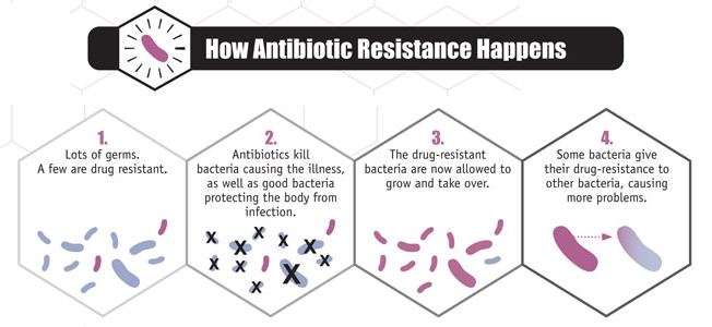 AFSA Antibiotic Resistance