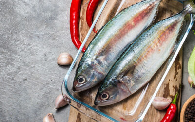 Omega-3 Fatty Acids and the Modern Diet