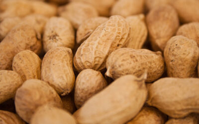 Living with peanut allergy and OIT – A mom’s point of view