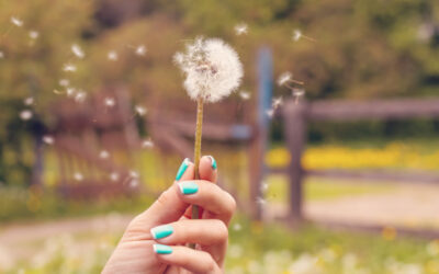 Steps to manage seasonal pollen symptoms in South African cities