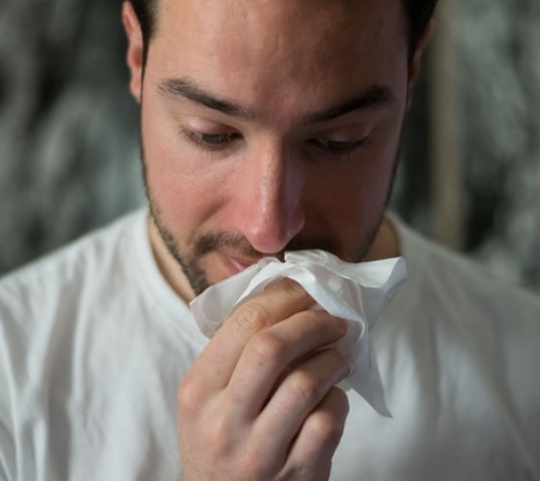 The Bland and the Bizarre World of Allergy