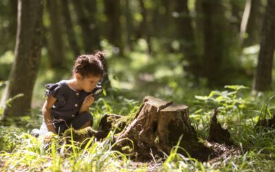 Are Heavy Metals Contributing to the Rise in Childhood Allergies?